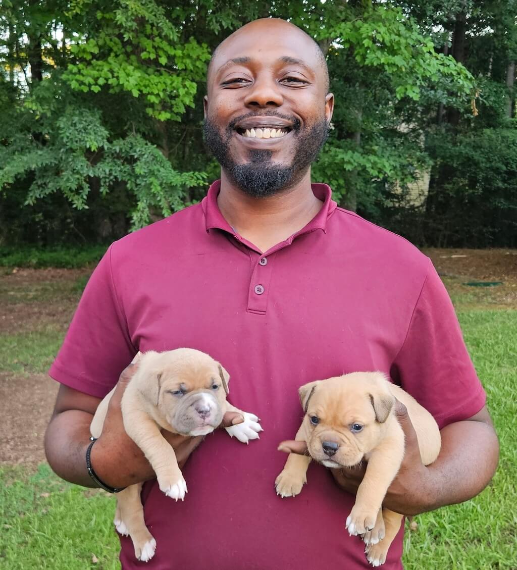 jevon_puppies