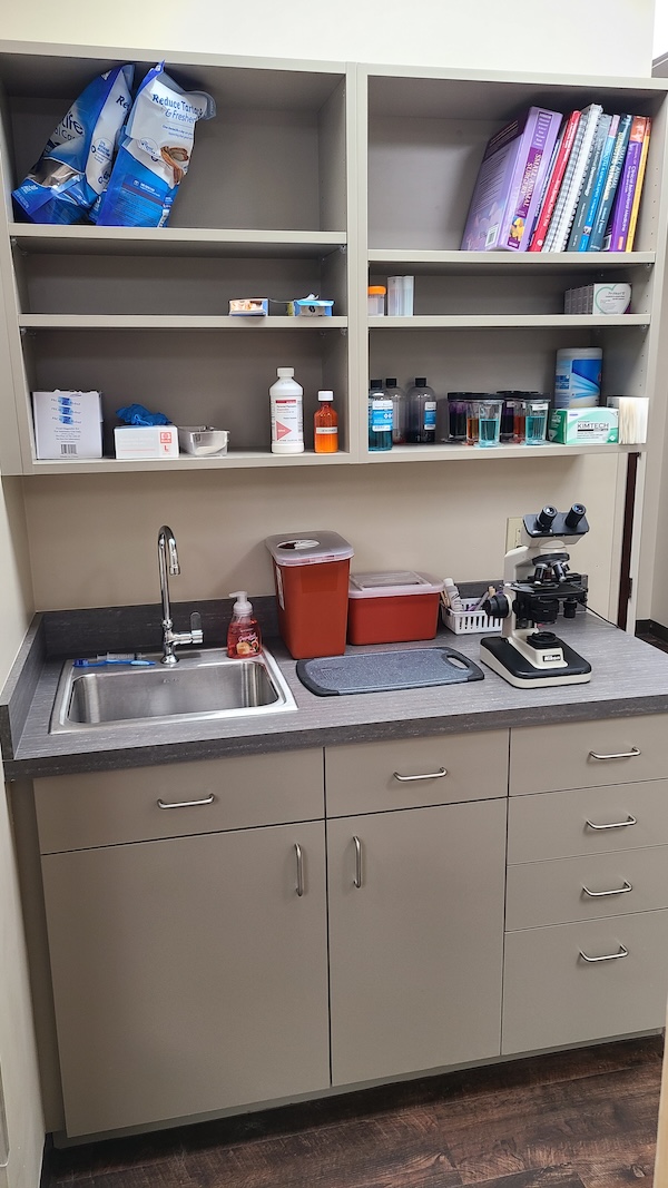 Lab