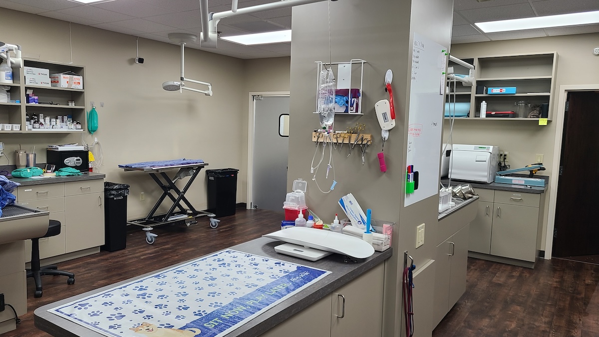 Treatment area