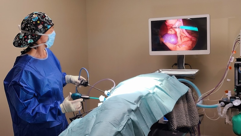Lap surgery